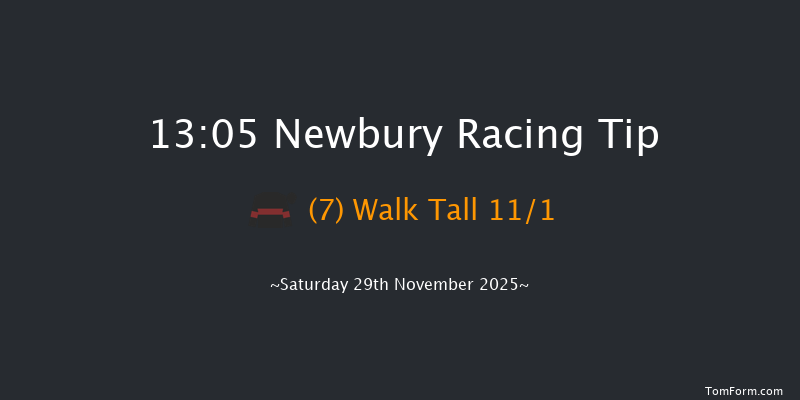 Newbury 13-05 (Class 3) 20f Fri 28th Nov 2025