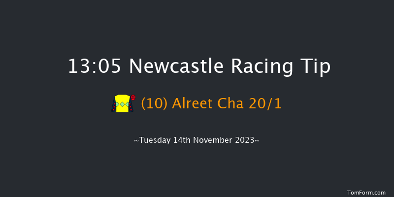 Newcastle 13:05 Stakes (Class 4) 7f Sat 11th Nov 2023