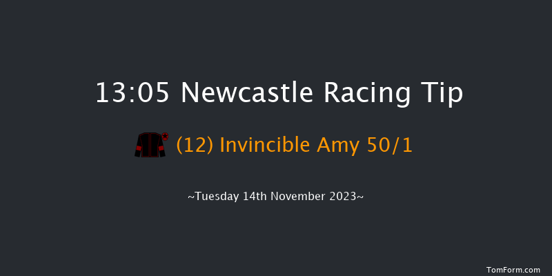 Newcastle 13:05 Stakes (Class 4) 7f Sat 11th Nov 2023