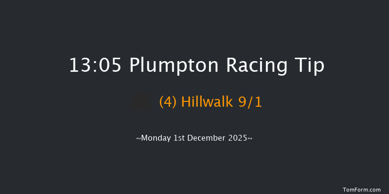 Plumpton 13-05 (Class 4) 20f Mon 17th Nov 2025