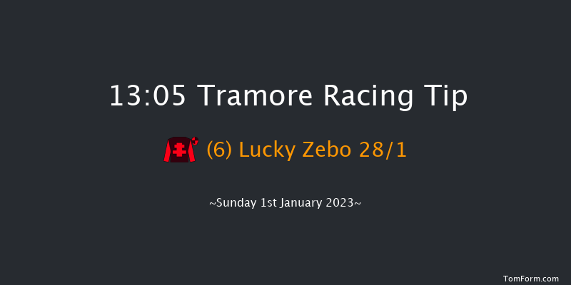 Tramore 13:05 Maiden Hurdle 22f Tue 6th Dec 2022