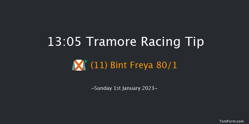 Tramore 13:05 Maiden Hurdle 22f Tue 6th Dec 2022