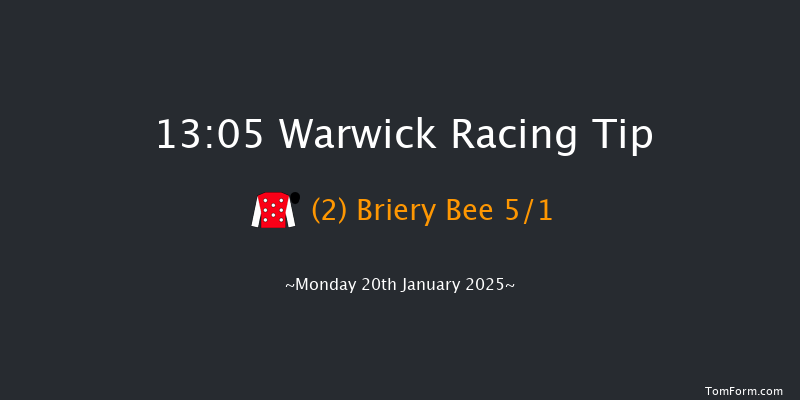 Warwick  13:05 Maiden Hurdle (Class 4) 19f Tue 31st Dec 2024