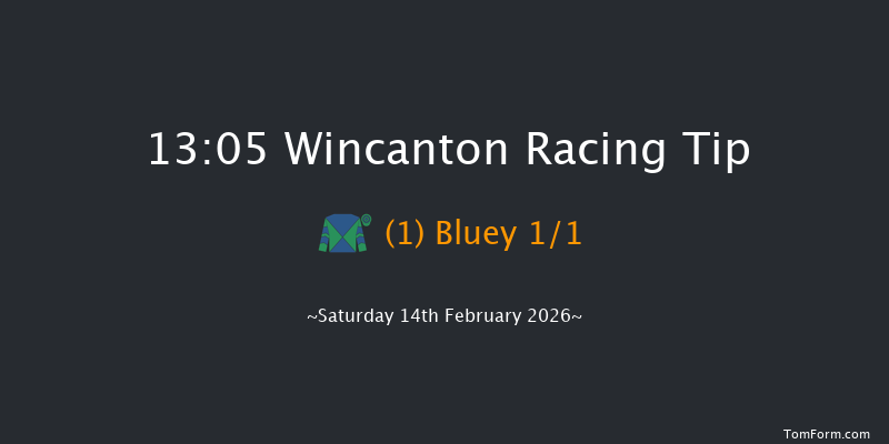 Wincanton 13-05 (Class 1) 15f Thu 29th Jan 2026