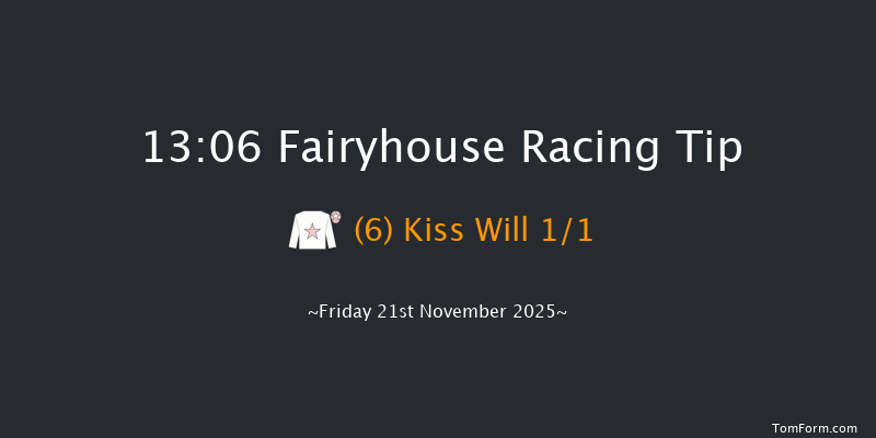 Fairyhouse 13-06 20f Tue 11th Nov 2025
