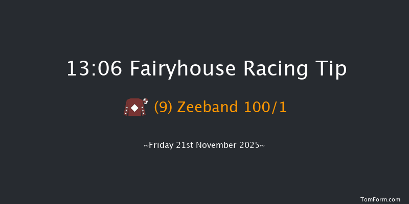 Fairyhouse 13-06 20f Tue 11th Nov 2025