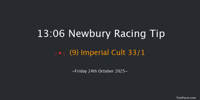 Newbury 13-06 (Class 5) 16f Sat 20th Sep 2025