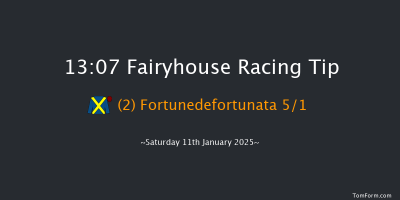 Fairyhouse  13:07 Handicap Hurdle 24f Wed 1st Jan 2025