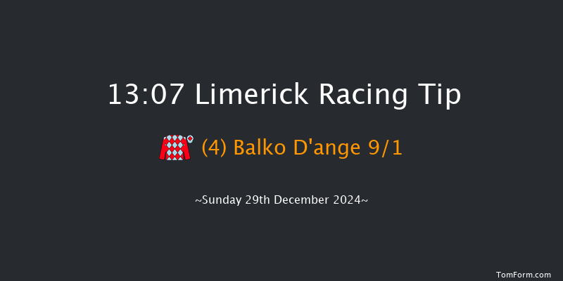 Limerick  13:07 Handicap Hurdle 16f Sat 28th Dec 2024