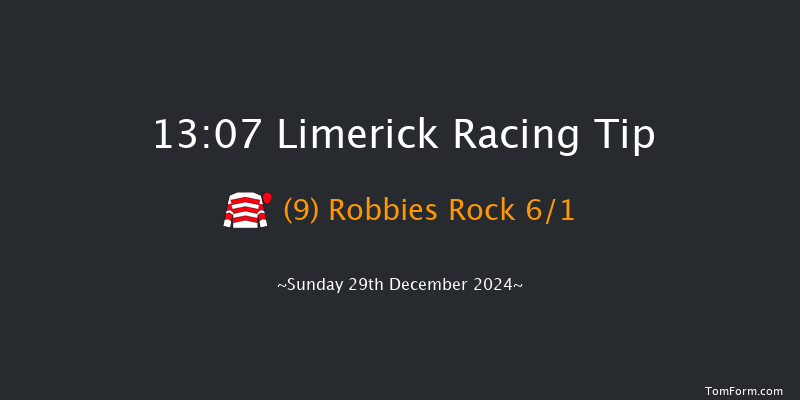 Limerick  13:07 Handicap Hurdle 16f Sat 28th Dec 2024