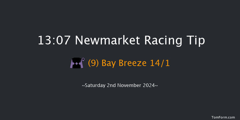 Newmarket  13:07 Handicap (Class 4) 6f Fri 1st Nov 2024