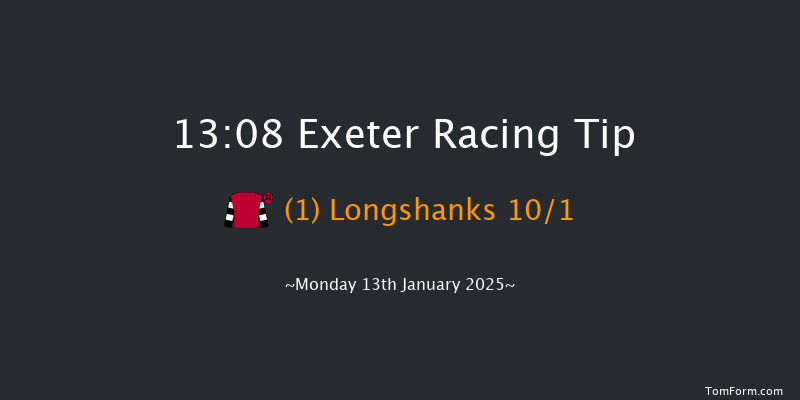 Exeter  13:08 Handicap Hurdle (Class 4) 23f Wed 1st Jan 2025