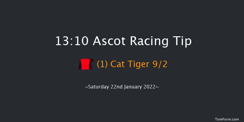 Ascot 13:10 Handicap Chase (Class 3) 24f Sat 18th Dec 2021