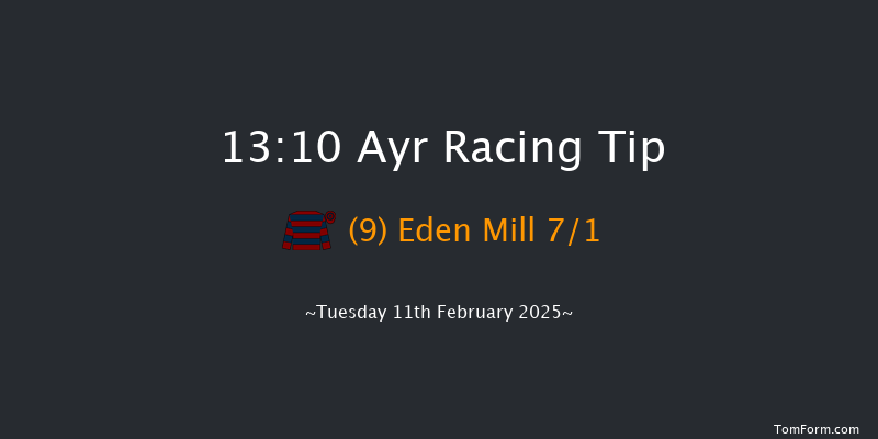 Ayr  13:10 Handicap Hurdle (Class 5) 20f Tue 21st Jan 2025