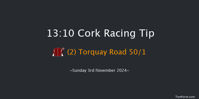 Cork  13:10 Handicap Hurdle 16f Sun 13th Oct 2024