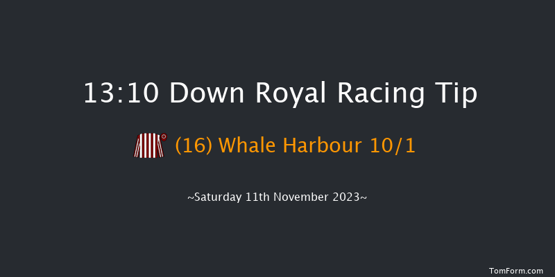 Down Royal 13:10 Maiden Hurdle 17f Fri 10th Nov 2023