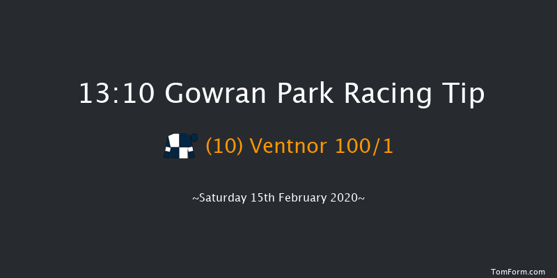 Sea Moon & Shantou At Burgage Stud Maiden Hurdle Gowran Park 13:10 Maiden Hurdle 16f Thu 23rd Jan 2020