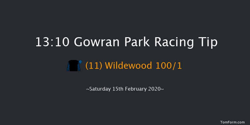 Sea Moon & Shantou At Burgage Stud Maiden Hurdle Gowran Park 13:10 Maiden Hurdle 16f Thu 23rd Jan 2020