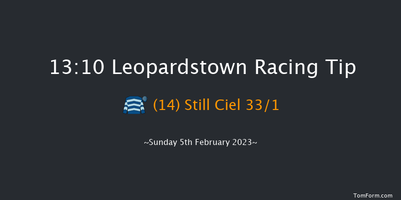Leopardstown 13:10 Handicap Hurdle 18f Sat 4th Feb 2023