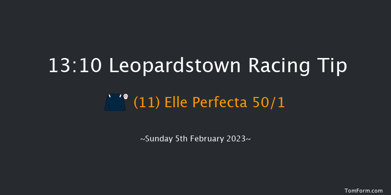 Leopardstown 13:10 Handicap Hurdle 18f Sat 4th Feb 2023