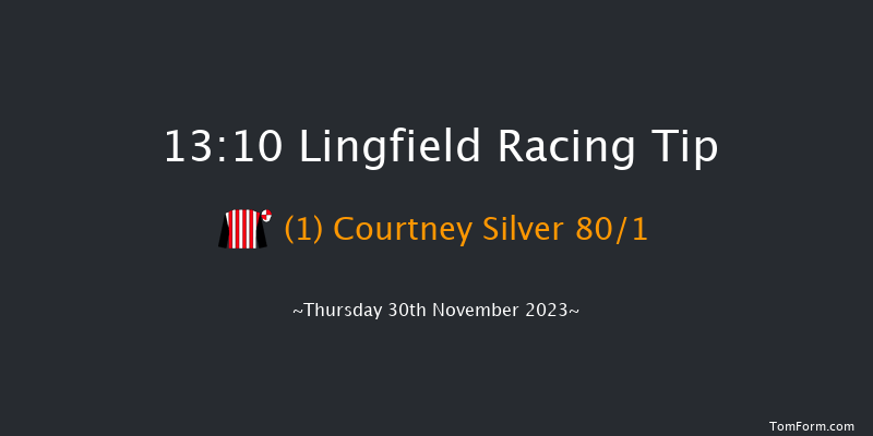 Lingfield 13:10 Handicap Hurdle (Class 5) 20f Sat 25th Nov 2023