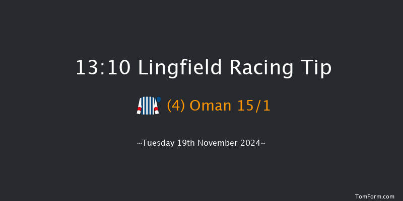 Lingfield  13:10 Handicap (Class 4) 10f Wed 13th Nov 2024