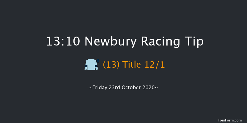Are You Hot To Trot For 2021 Novice Stakes (Plus 10) (Div 1) (Str) Newbury 13:10 Stakes (Class 4) 8f Sat 19th Sep 2020