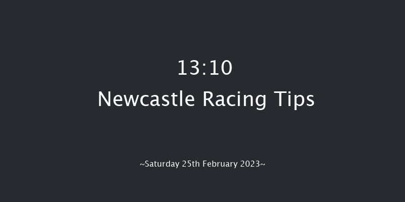 Newcastle 13:10 Stakes (Class 5) 16f Thu 23rd Feb 2023