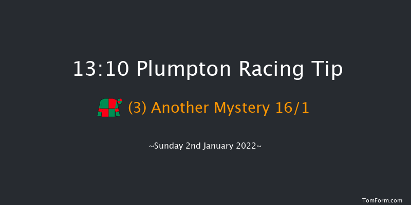 Plumpton 13:10 Novices Hurdle (Class 3) 20f Tue 21st Dec 2021