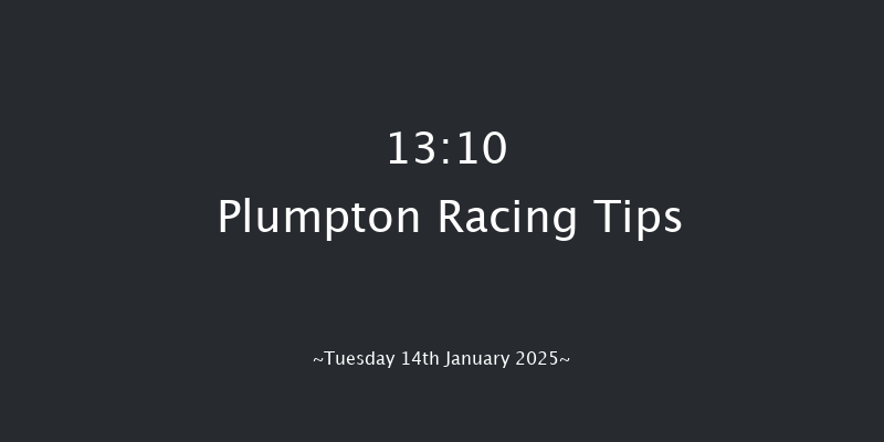 Plumpton  13:10 Novices Hurdle (Class 4) 20f Sun 5th Jan 2025