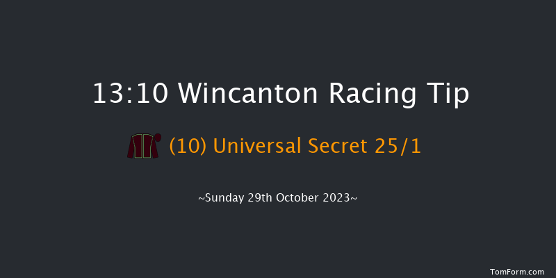 Wincanton 13:10 Handicap Hurdle (Class 4) 15f Thu 19th Oct 2023
