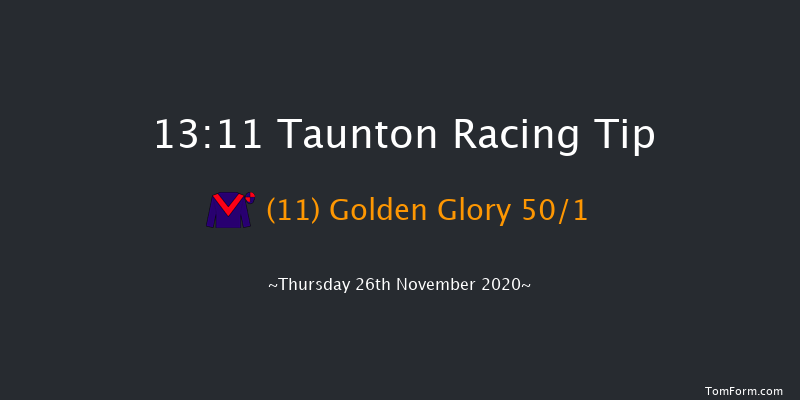 Summerfield Developments Novices' Handicap Hurdle (GBB Race) Taunton 13:11 Handicap Hurdle (Class 4) 24f Thu 12th Nov 2020