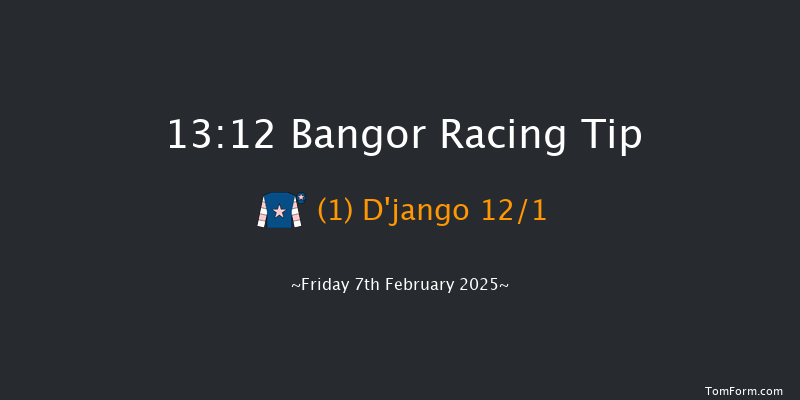 Bangor-on-dee  13:12 Hunter Chase (Class 4) 24f Fri 13th Dec 2024