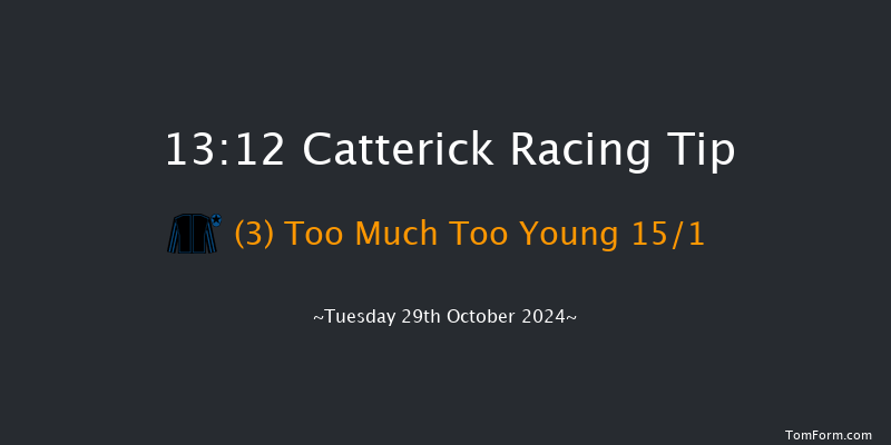 Catterick  13:12 Handicap (Class 6) 5f Sat 19th Oct 2024