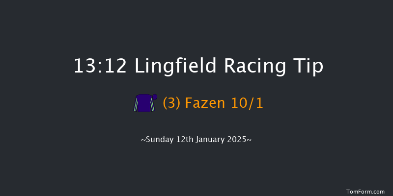 Lingfield  13:12 Stakes (Class 5) 7f Fri 10th Jan 2025