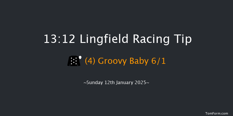 Lingfield  13:12 Stakes (Class 5) 7f Fri 10th Jan 2025