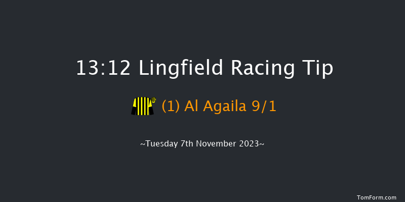 Lingfield 13:12 Listed (Class 1) 8f Sun 5th Nov 2023