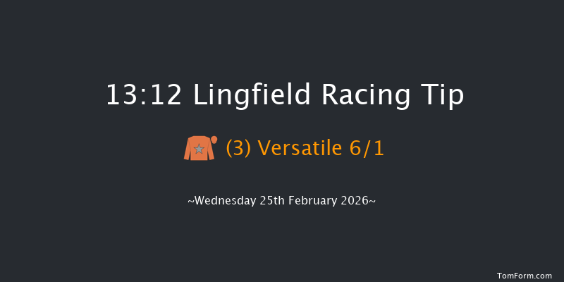 Lingfield 13-12 (Class 6) 12f Sat 21st Feb 2026
