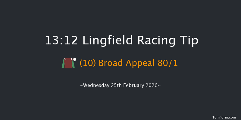 Lingfield 13-12 (Class 6) 12f Sat 21st Feb 2026