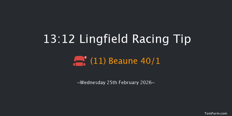 Lingfield 13-12 (Class 6) 12f Sat 21st Feb 2026