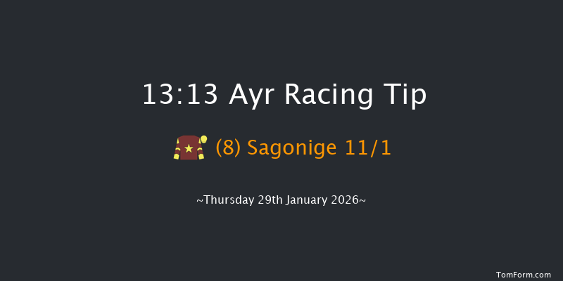 Ayr 13-13 (Class 4) 16f Tue 13th Jan 2026
