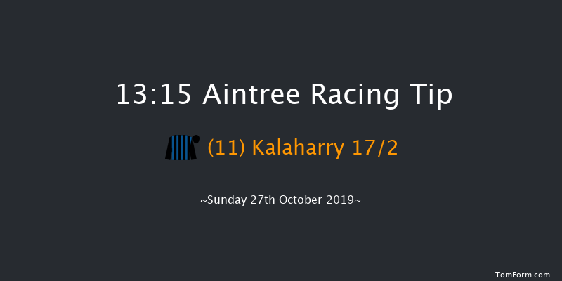 Aintree 13:15 Handicap Hurdle (Class 3) 25f Thu 1st Jan 1970
