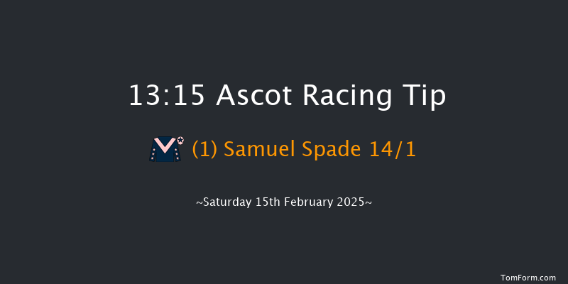 Ascot  13:15 Handicap Hurdle (Class 3) 24f Sat 18th Jan 2025