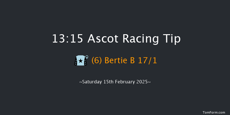Ascot  13:15 Handicap Hurdle (Class 3) 24f Sat 18th Jan 2025