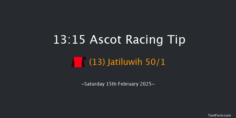 Ascot  13:15 Handicap Hurdle (Class 3) 24f Sat 18th Jan 2025