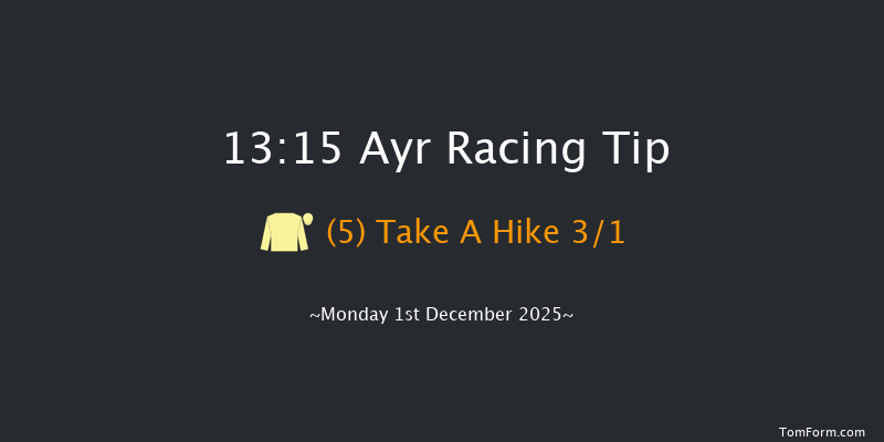 Ayr 13-15 (Class 5) 24f Wed 12th Nov 2025