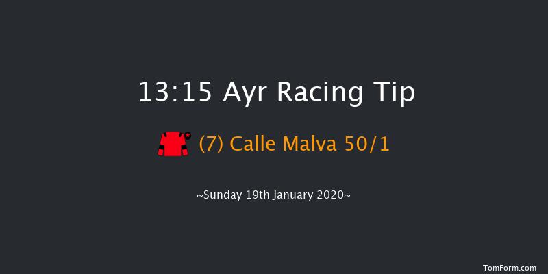 Ayr 13:15 Novices Hurdle (Class 4) 24f Mon 6th Jan 2020
