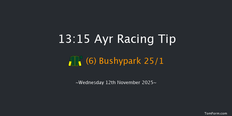 Ayr 13-15 (Class 4) 24f Sat 1st Nov 2025