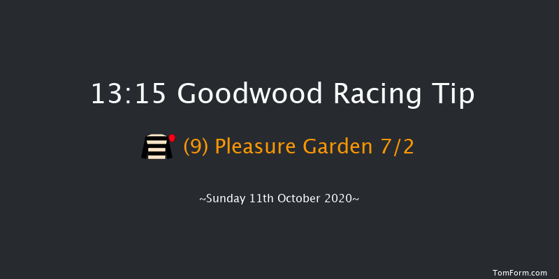 Download The tote Placepot App Handicap Goodwood 13:15 Handicap (Class 4) 16f Wed 23rd Sep 2020