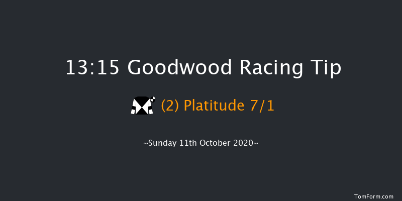 Download The tote Placepot App Handicap Goodwood 13:15 Handicap (Class 4) 16f Wed 23rd Sep 2020